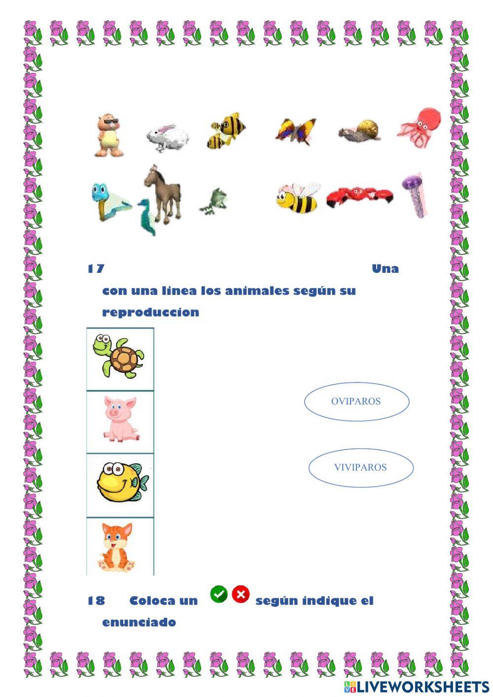 Evaluación Ciencias vertebrados tercero