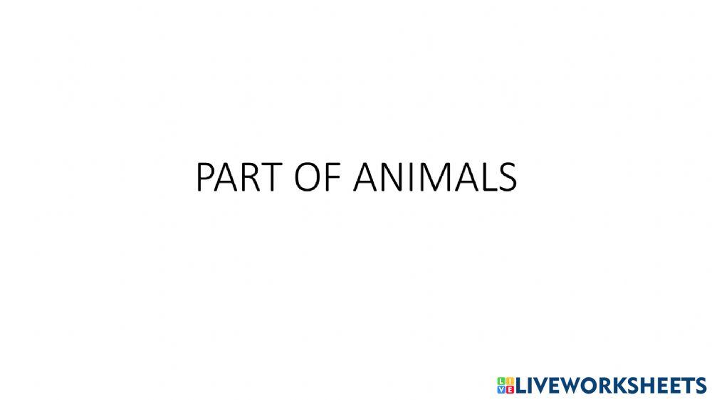 Part of animals 2