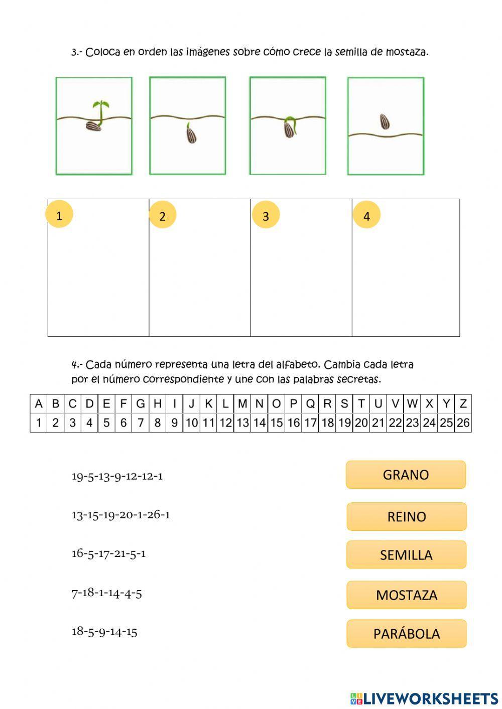 Ficha interactiva: Parábola La semilla de mostaza