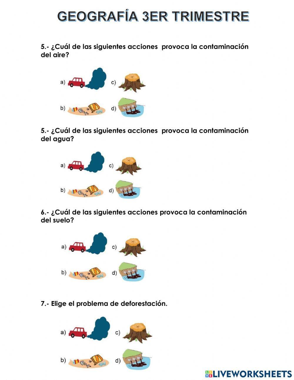 Evaluación tercer trimestre