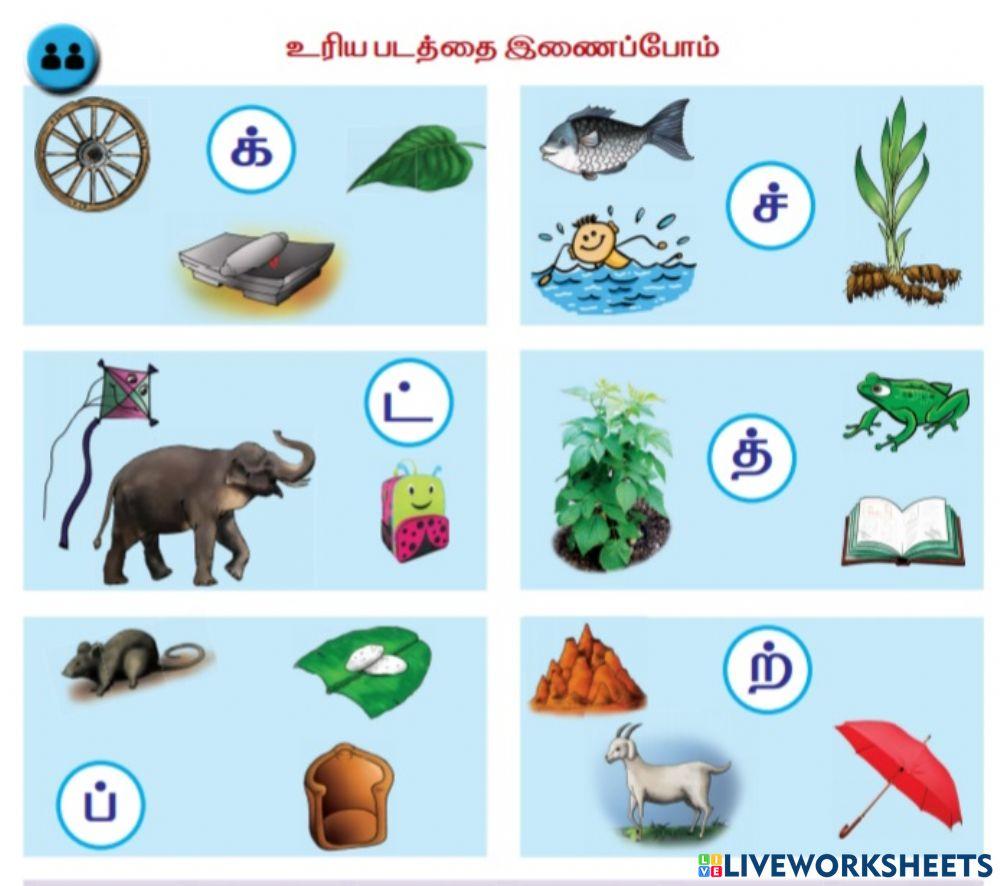 பொருத்துக