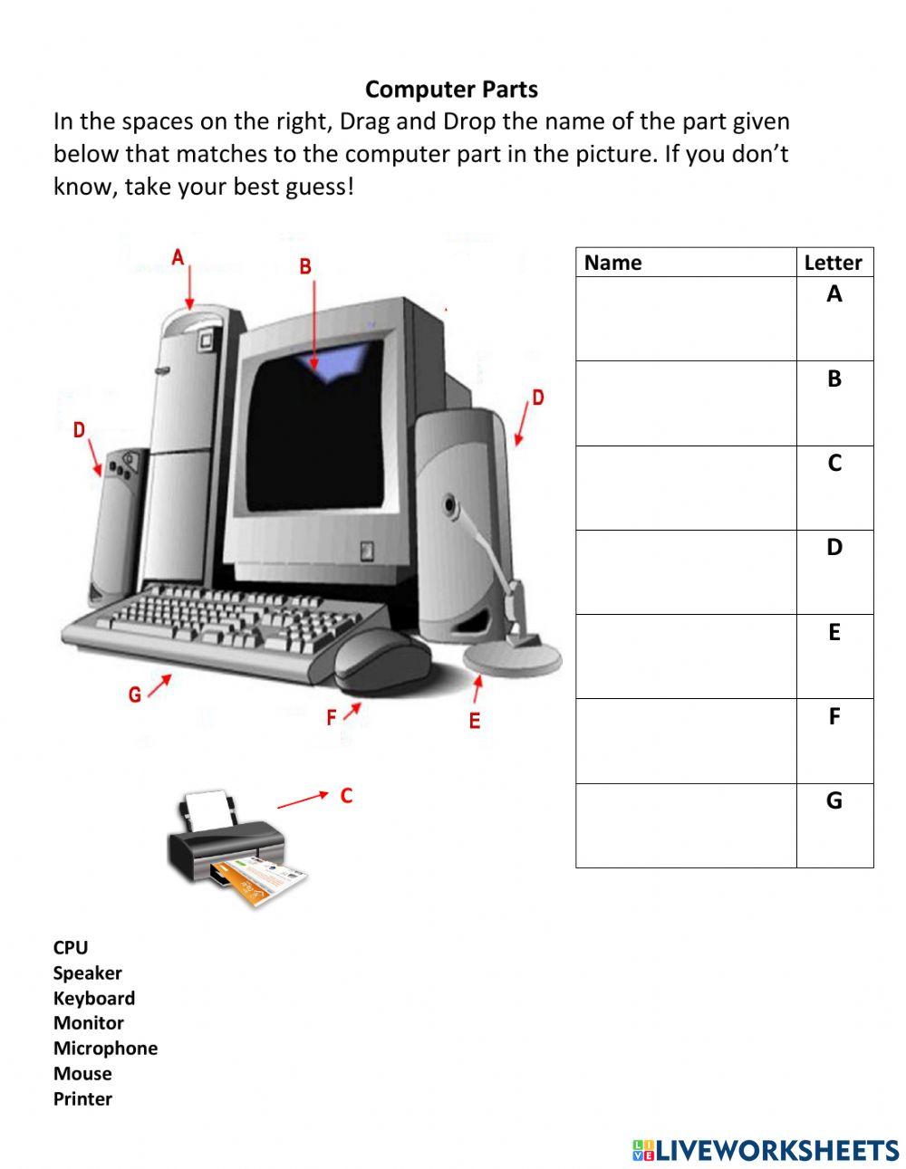 Parts of the Computer online worksheet for Class 1 | Live Worksheets