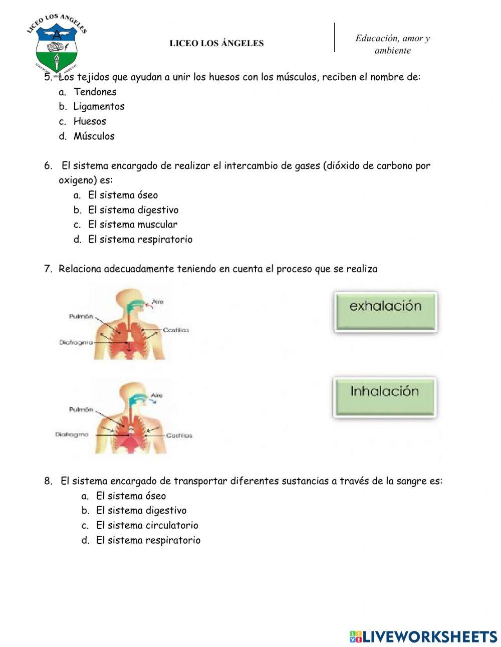 Refuerzo CN 4° - P2