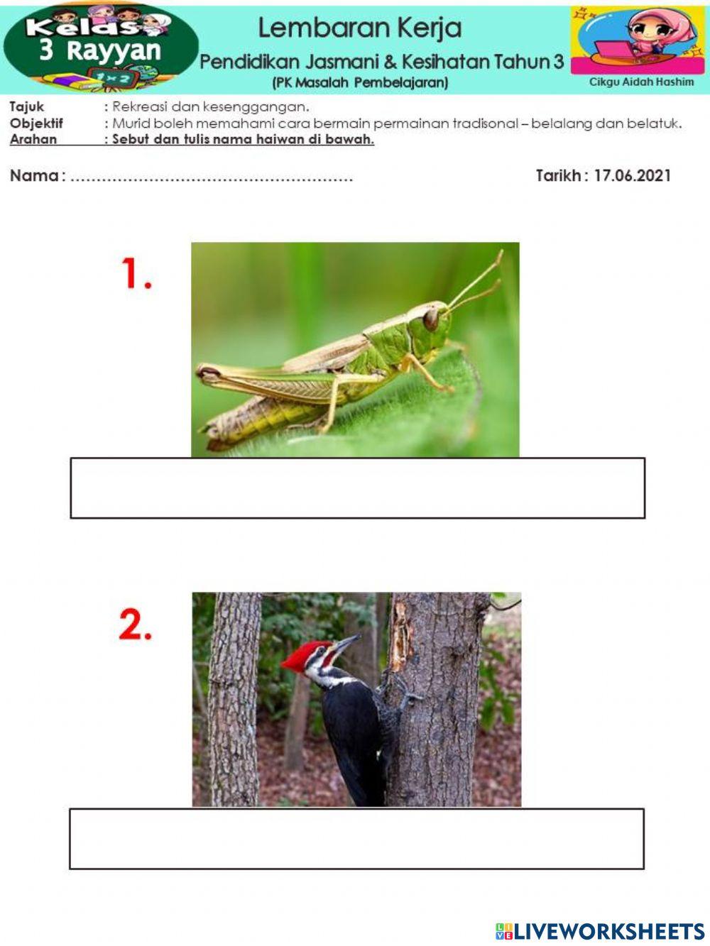 Permainan belalang dan belatuk