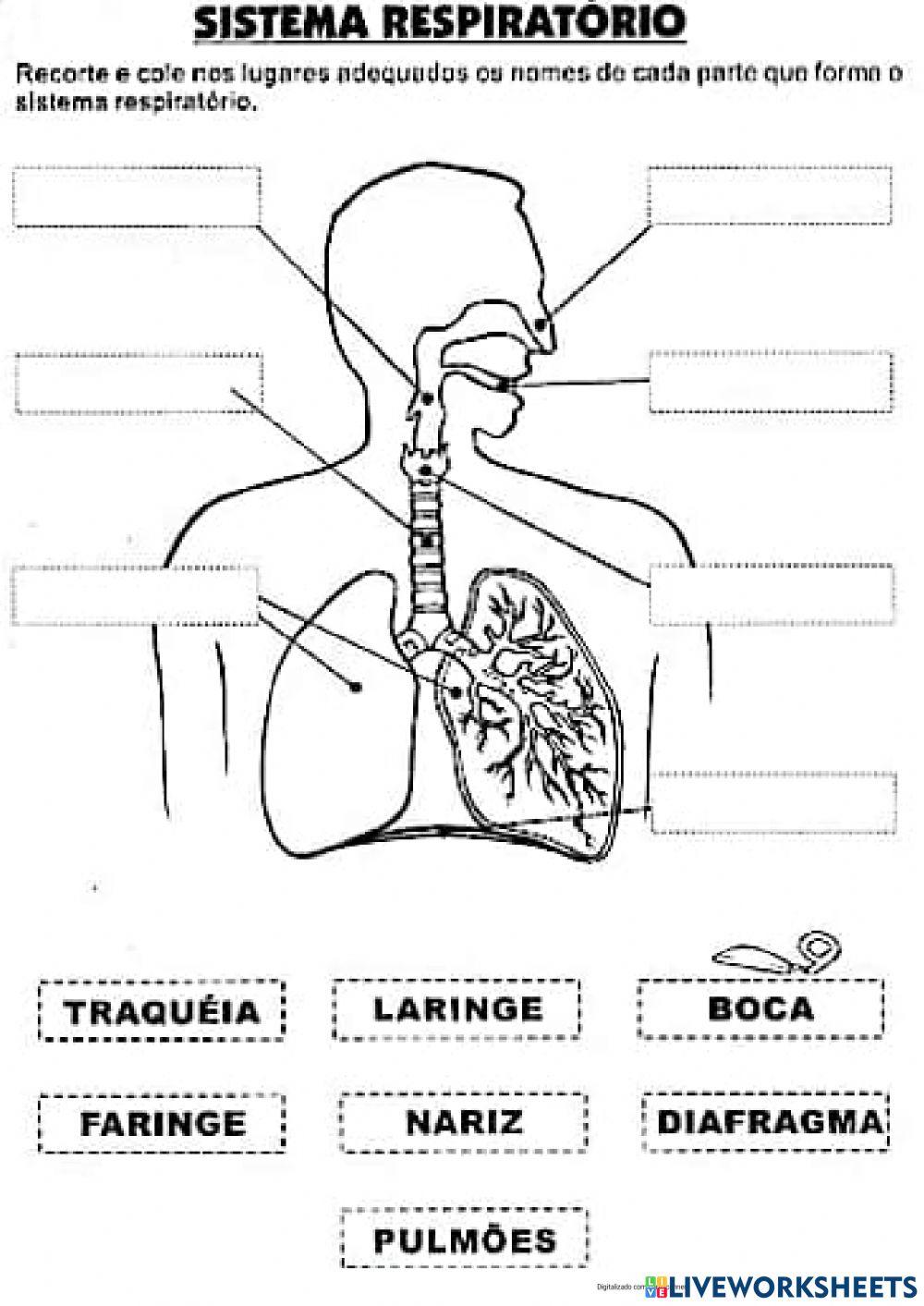 Avaliação de ciências