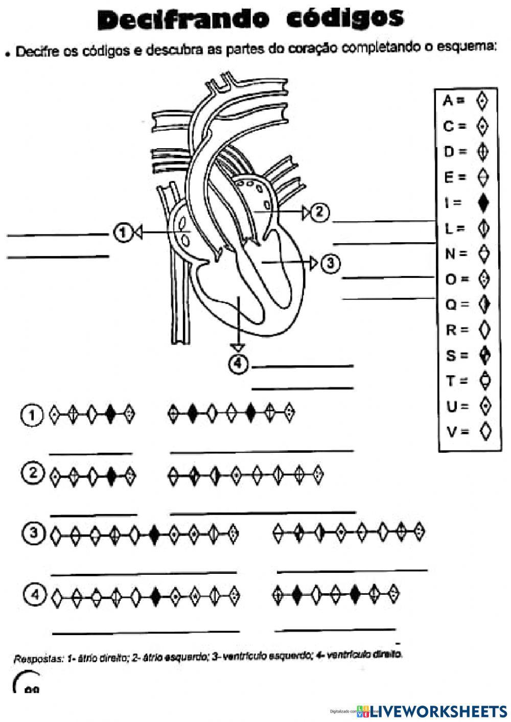 Avaliação de ciências