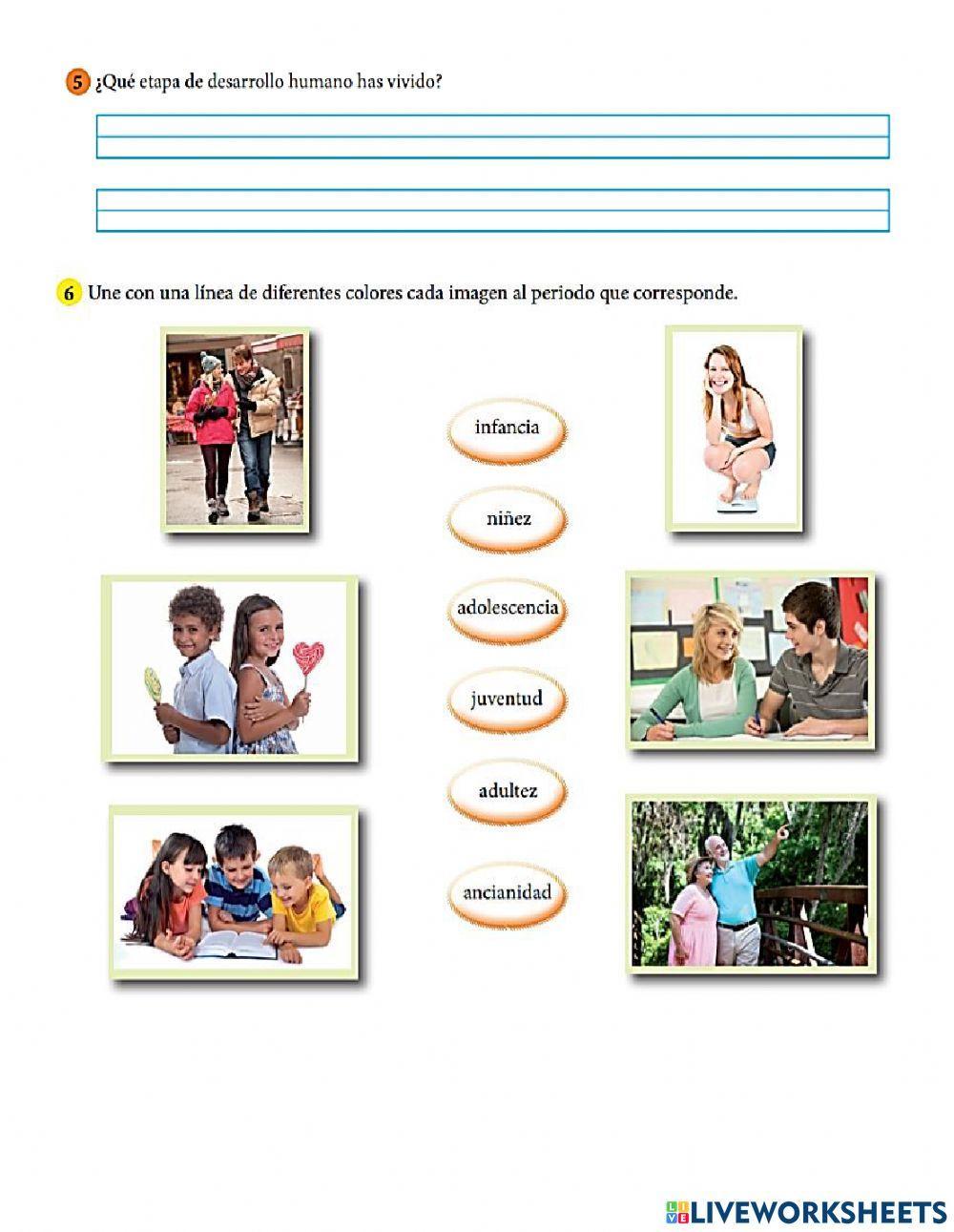 Etapas de la vida