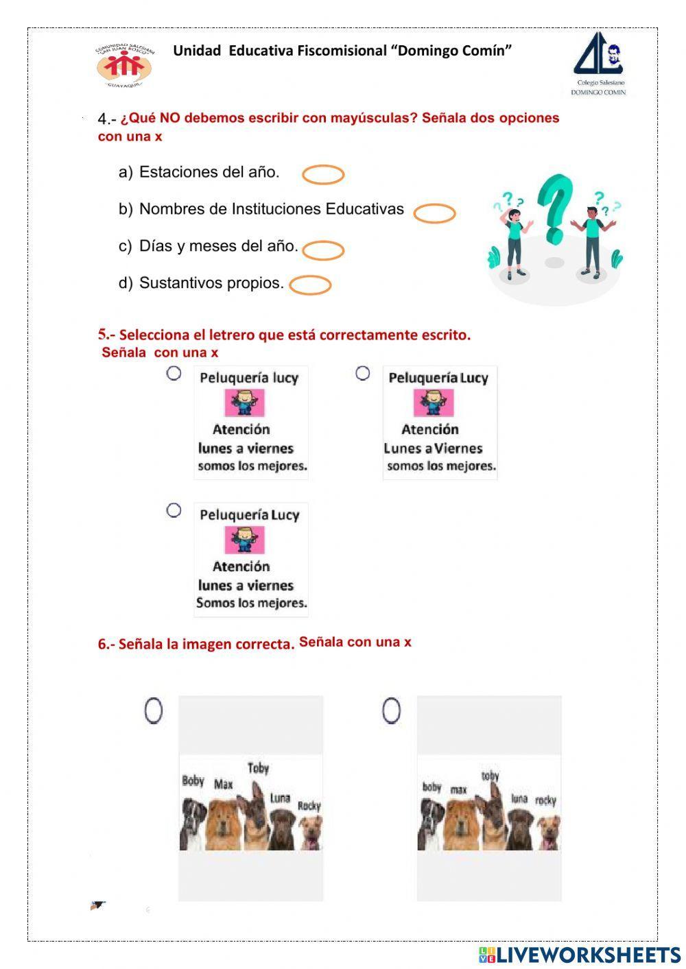 El uso de las mayúsculas