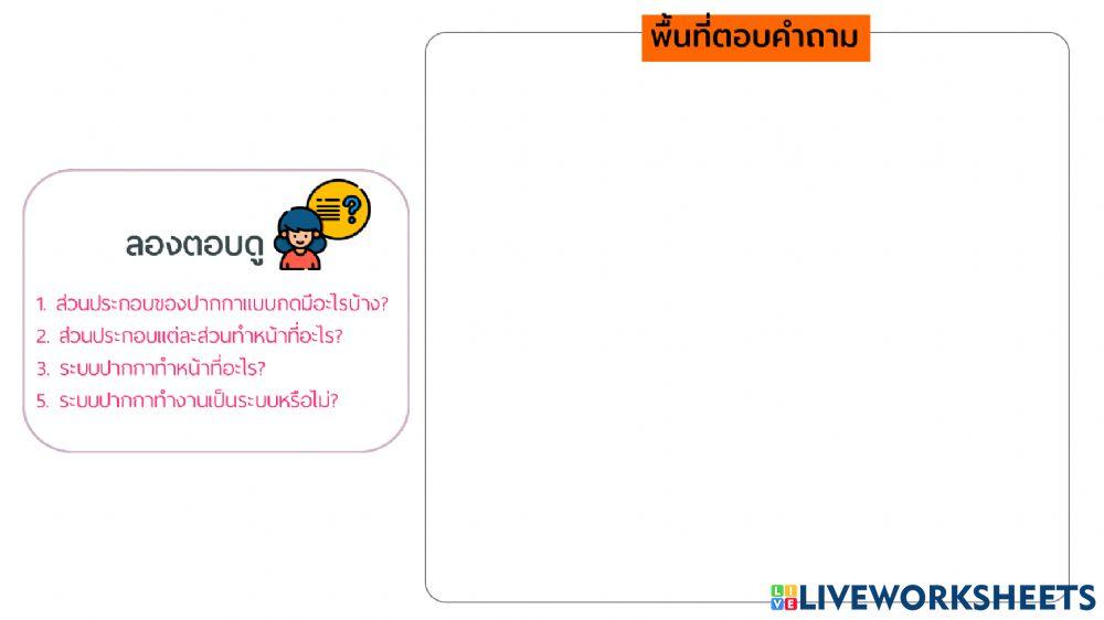 ระบบทางเทคโนโลยี