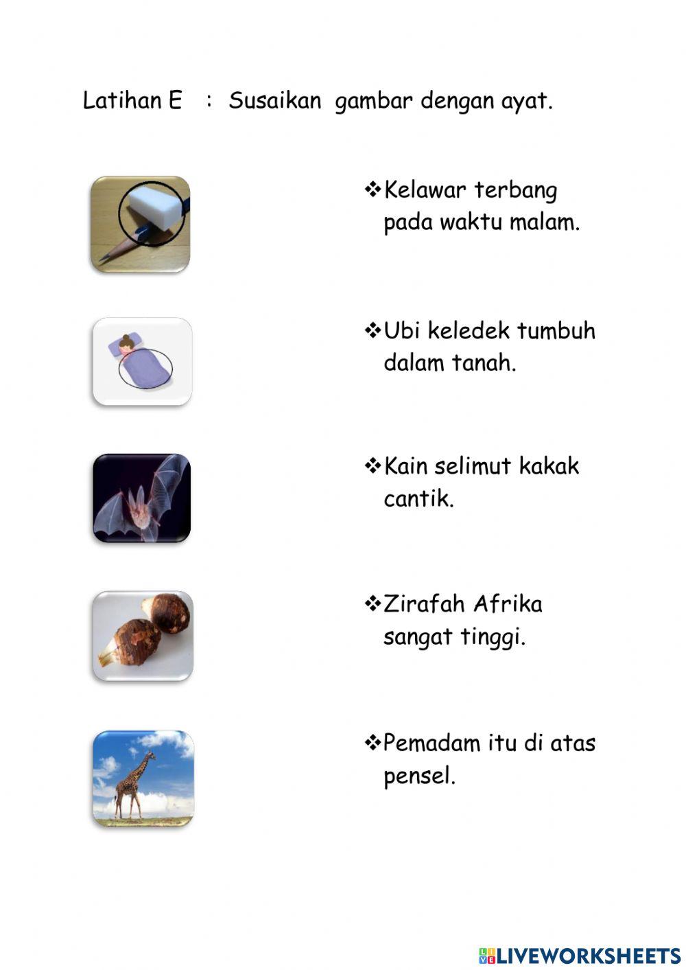 Kemahiran 14: Perkataan KV+KV+KVK