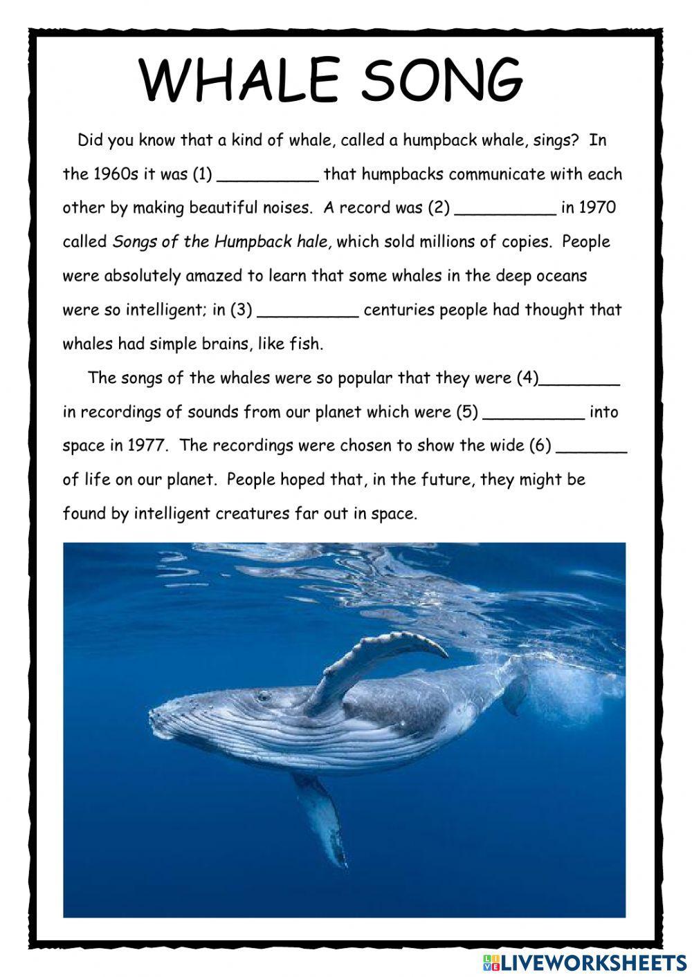 Whale Song PET Reader