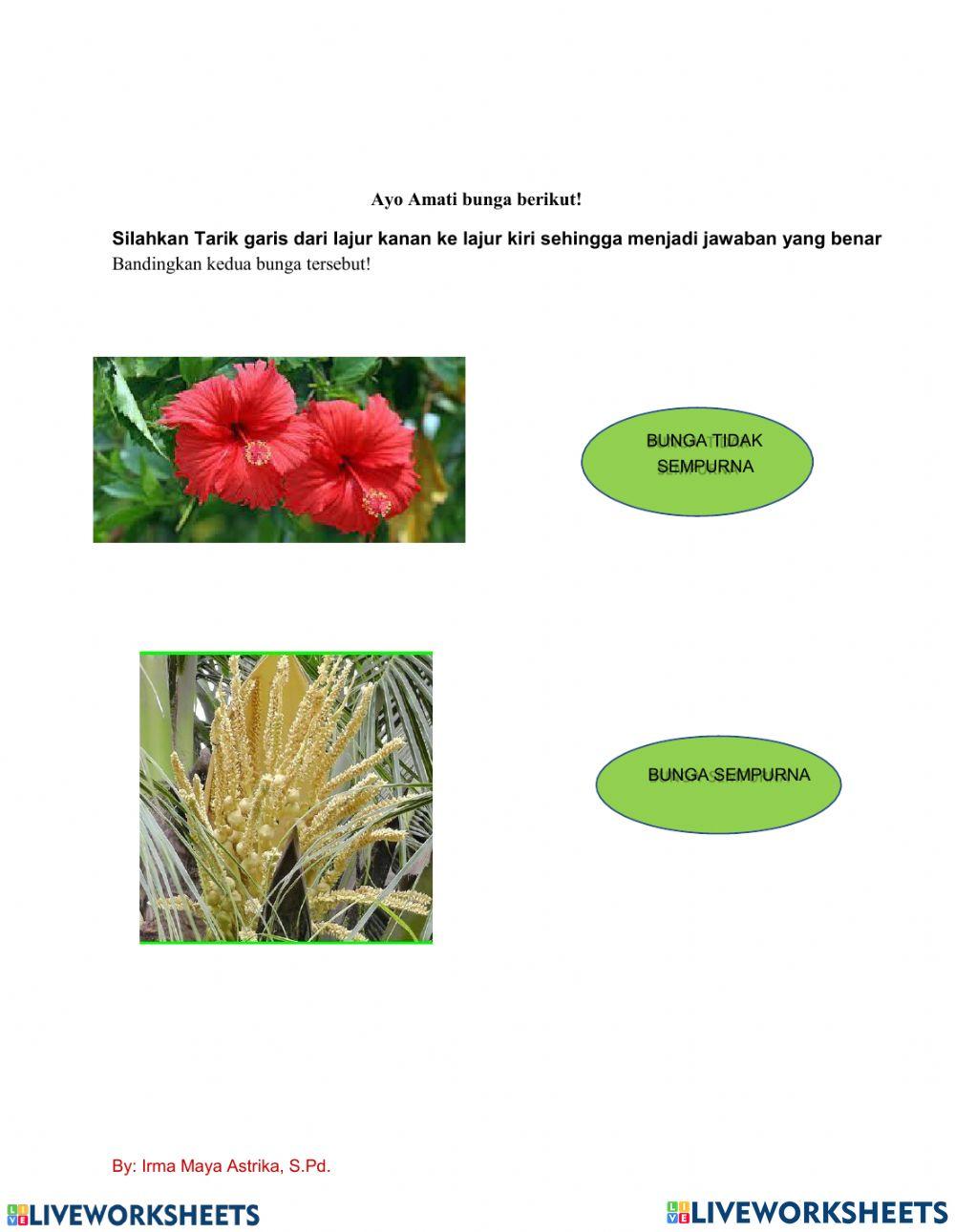 LKPD Tema 1 Sub 1 Pemb. 1