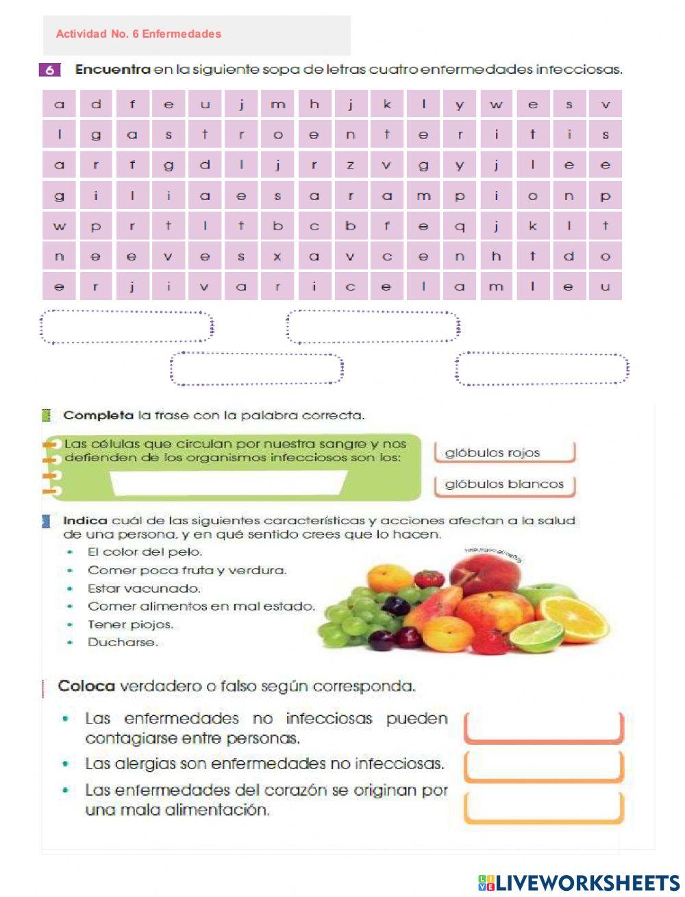 Funciones vitales del cuerpo humano