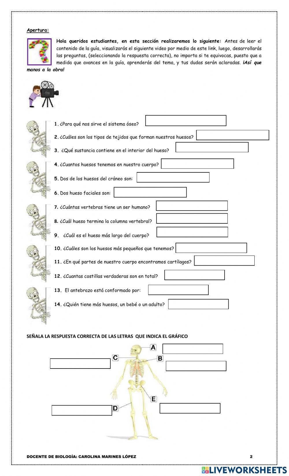 Saberes Previos - Introducción Sistema óseo Humano