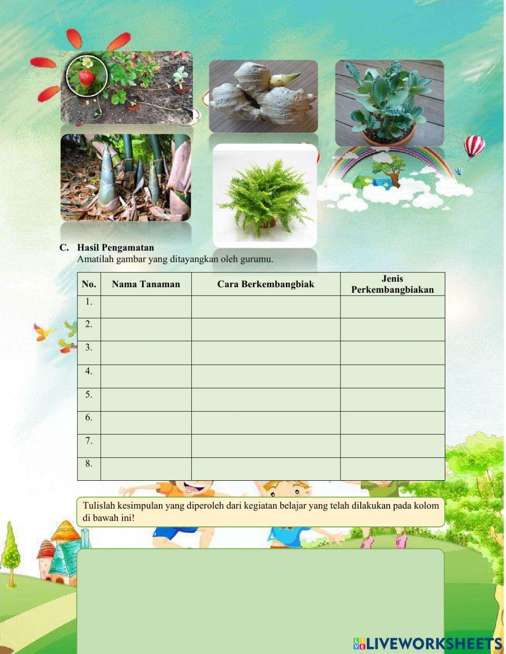 LKPD Rancangan Kegiatan Pembelajaran 1.3