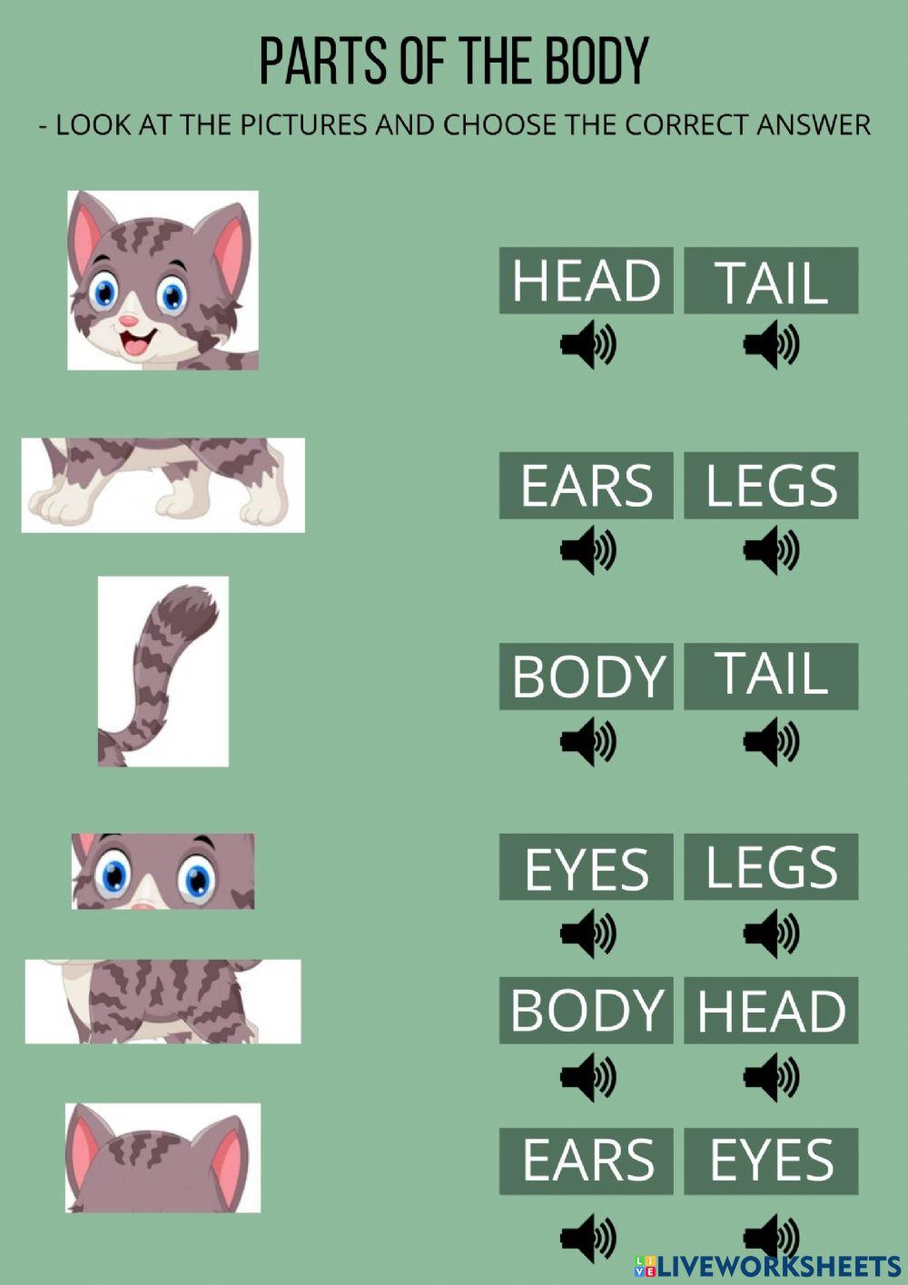Parts of the body