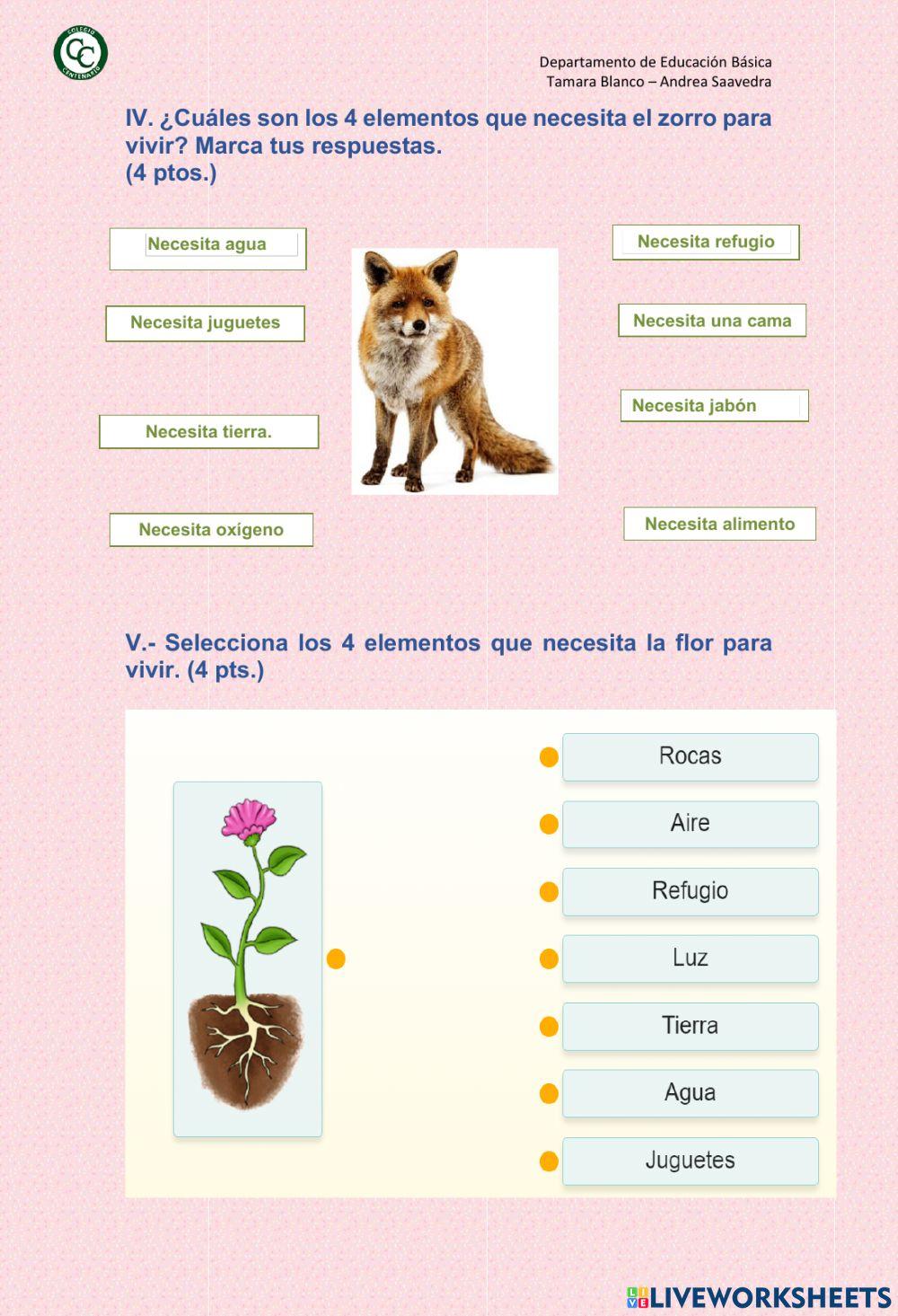 Guíacienciasnaturales2