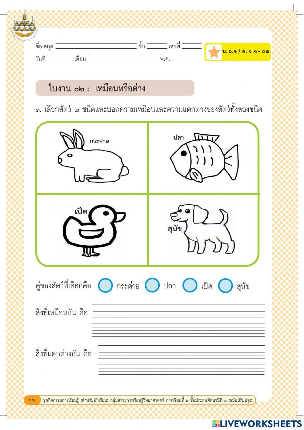 วิทยาการคำนวน ป.1 ครั้งที่ 2