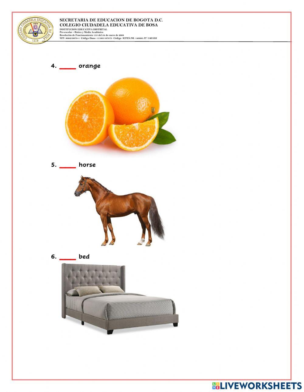 Articles, personal pronouns, demonstrative adjectives