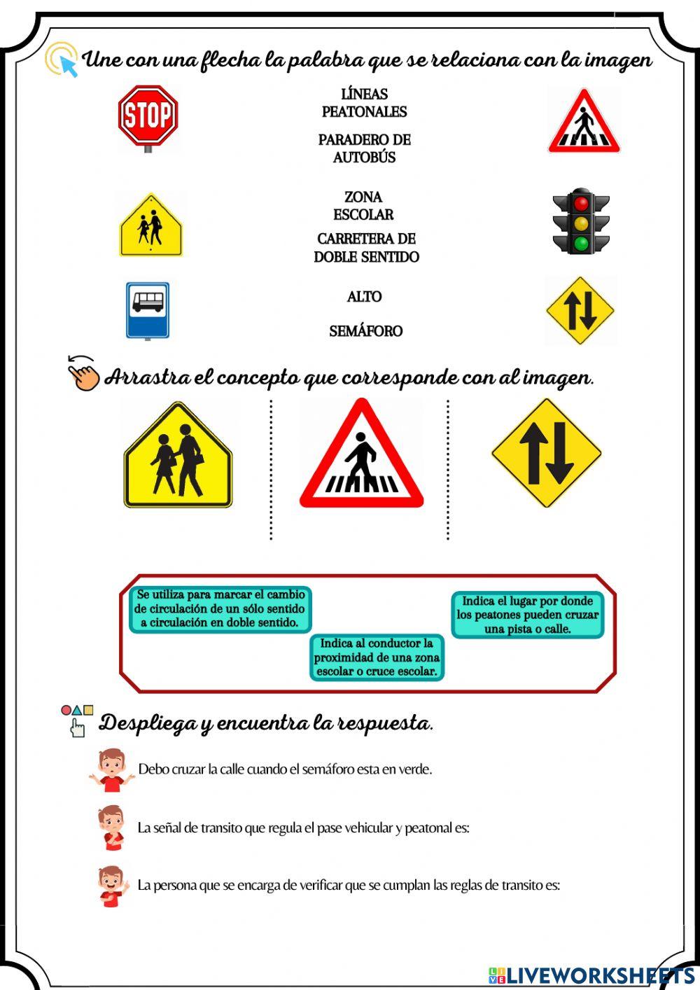 Seguridad vial