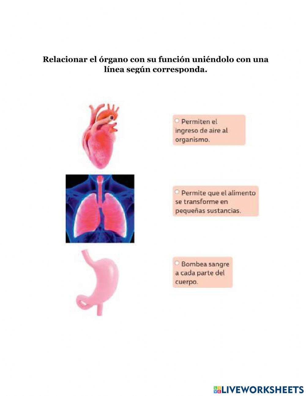 Evaluación 2 básico Ciencias Naturales