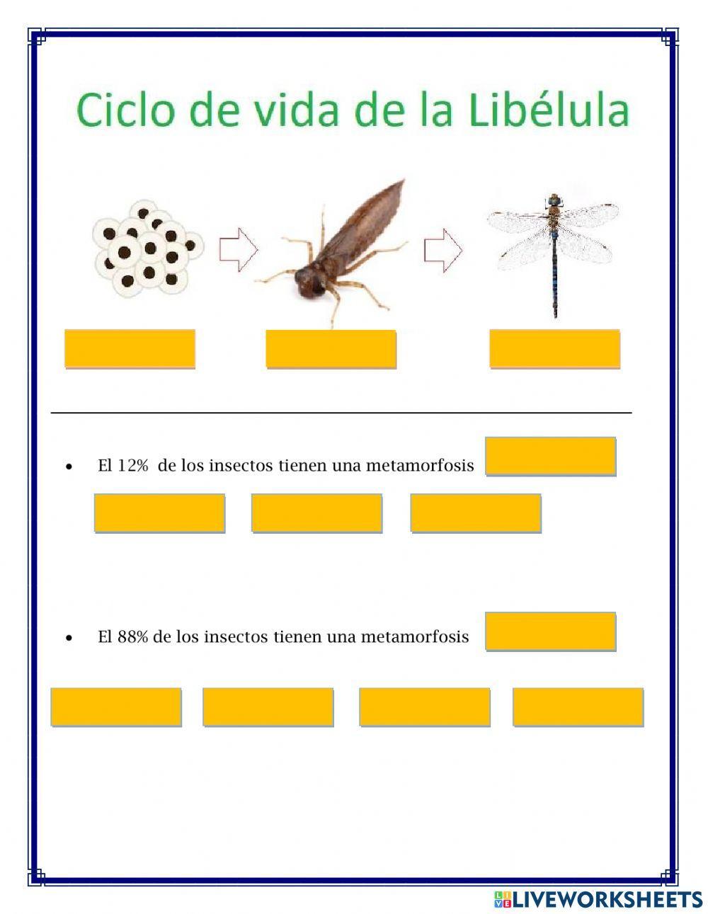 Ciclo de vida de los invertebrados
