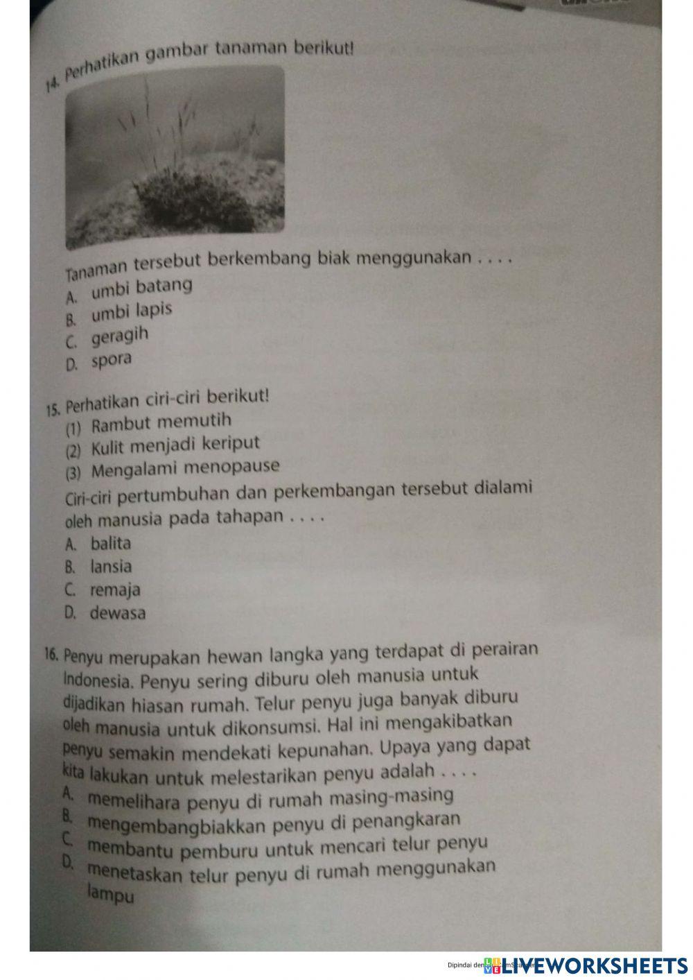 Seleksi lomba ipa