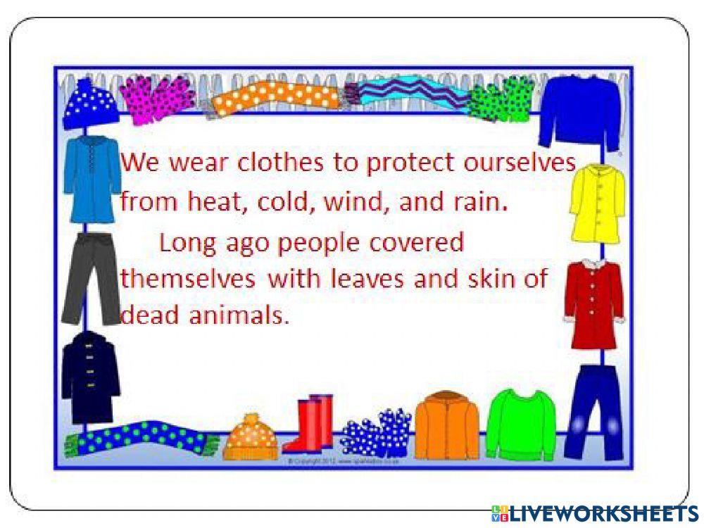 Msb educational institute interactive worksheet | Live Worksheets