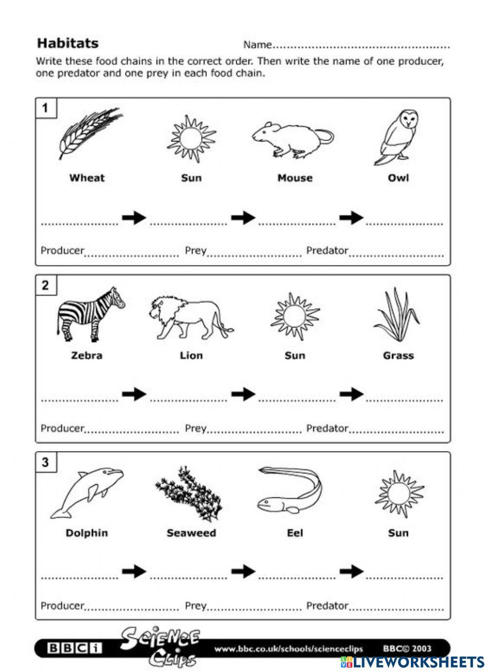 โซ่อาหาร