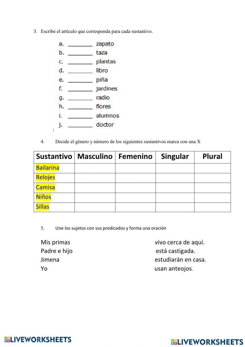 Concordancia Gramatical