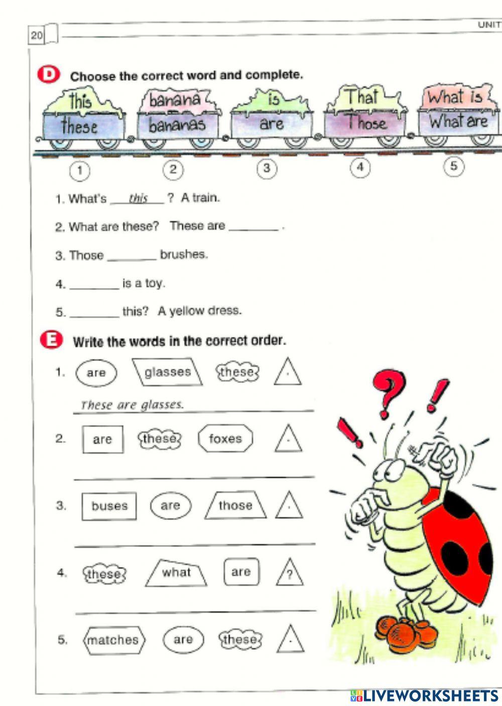 These That Those This