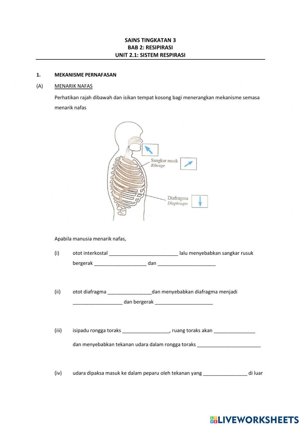 Mekanisme pernafasan