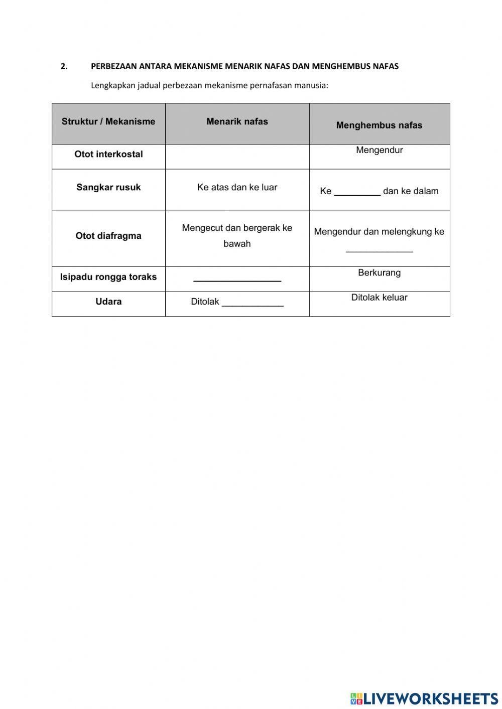 Mekanisme pernafasan