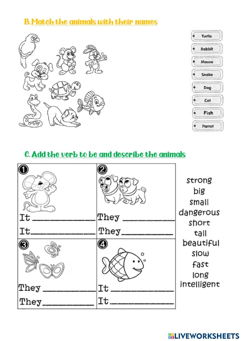 Fourth Grade Exam III Unit