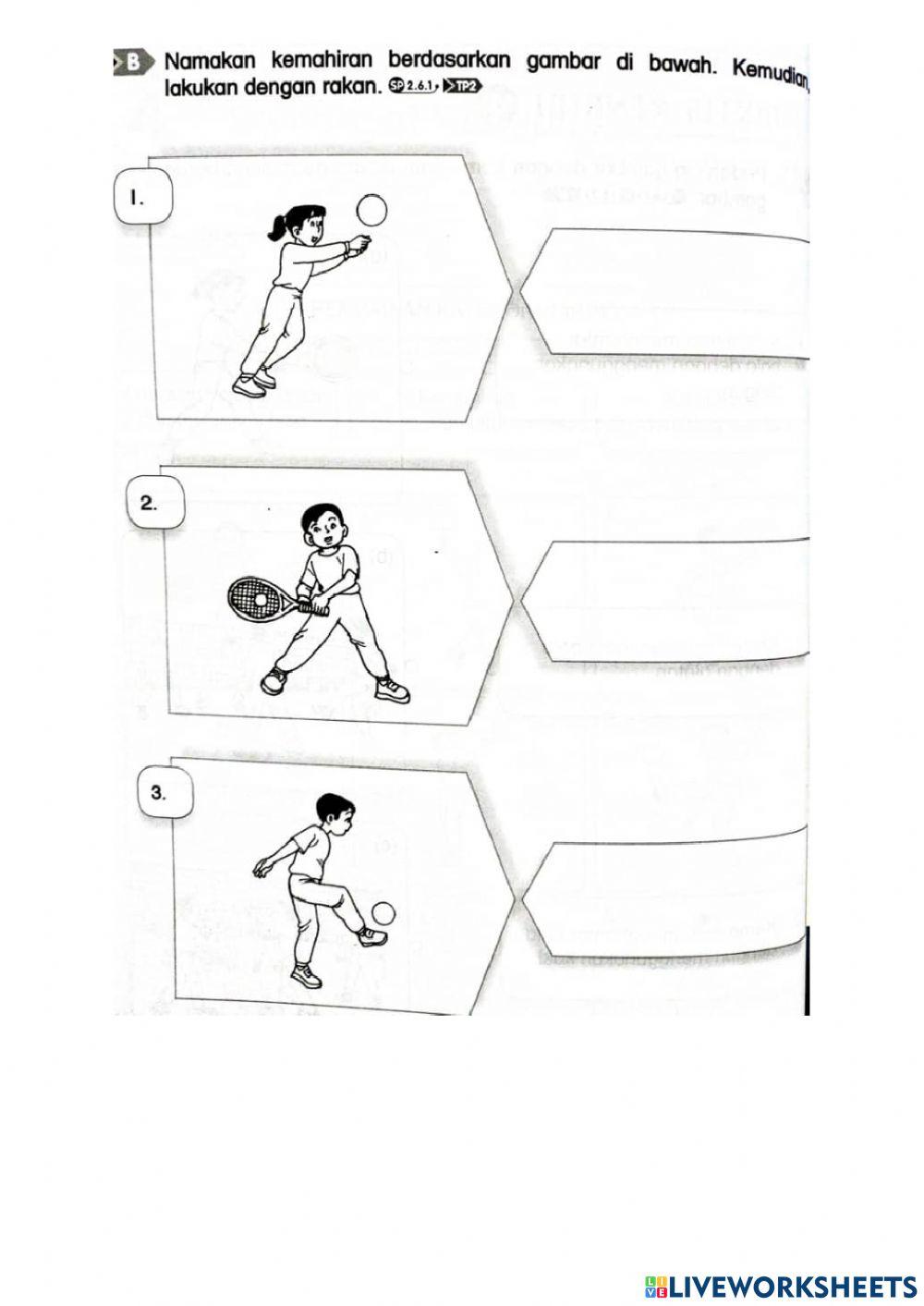 Pj tahun 3 - kategori permainan jaring