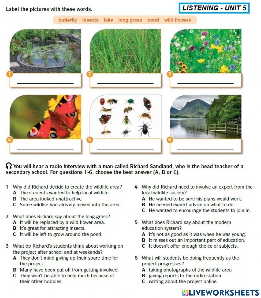 Listening Lesson F5-Unit 5