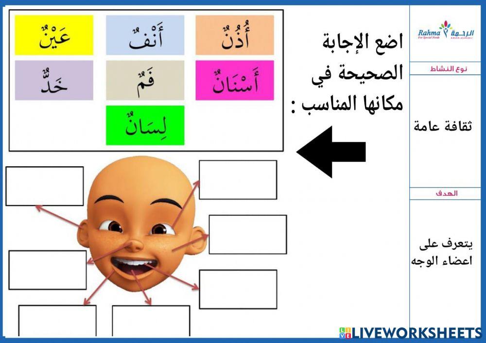ثقافة عامة ( أعضاء الوجه) ثقافة عامة ( أعضاء الوجه)