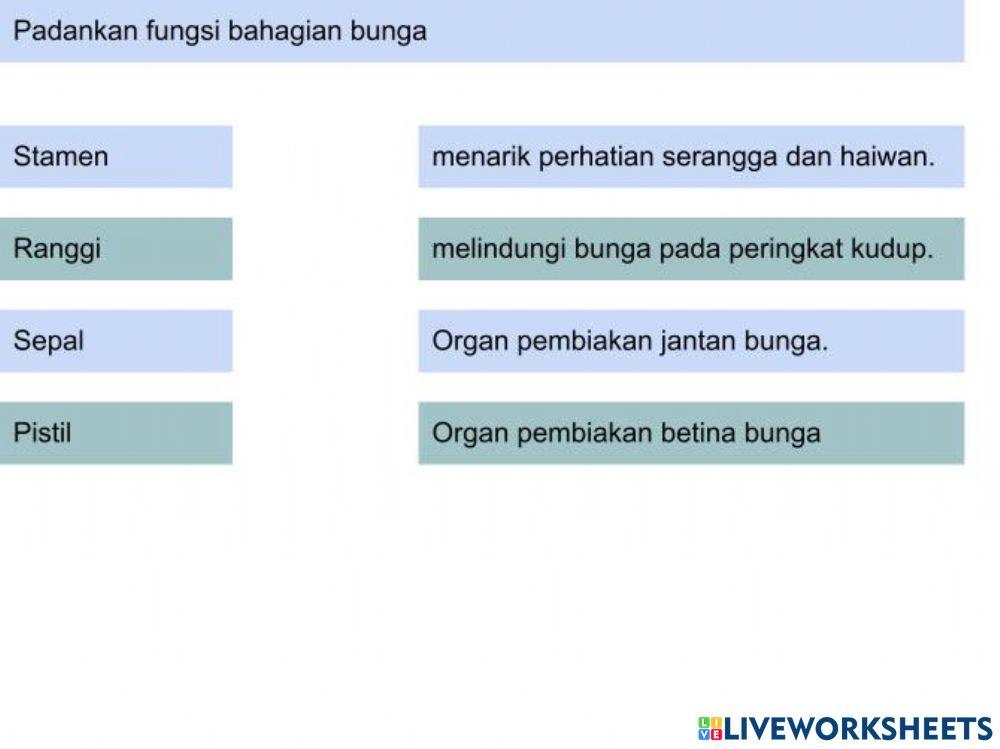 4.7.1.2 Struktur dan fungsi bahagian bunga