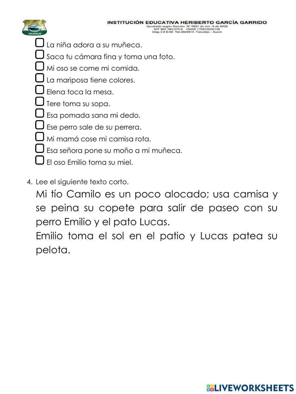 Evaluacion final de periodo de castellano
