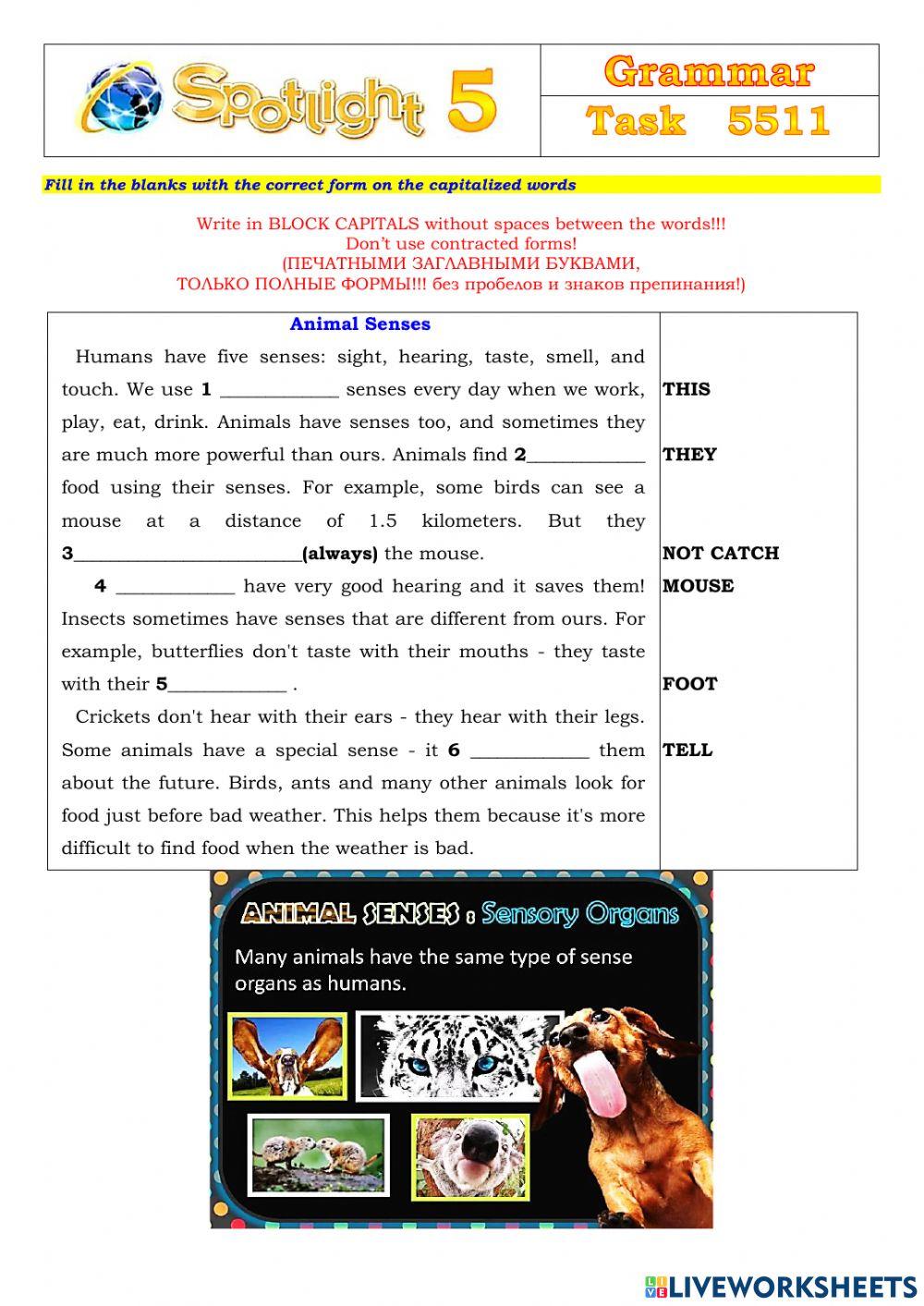 Spotlight 5 Task 5511