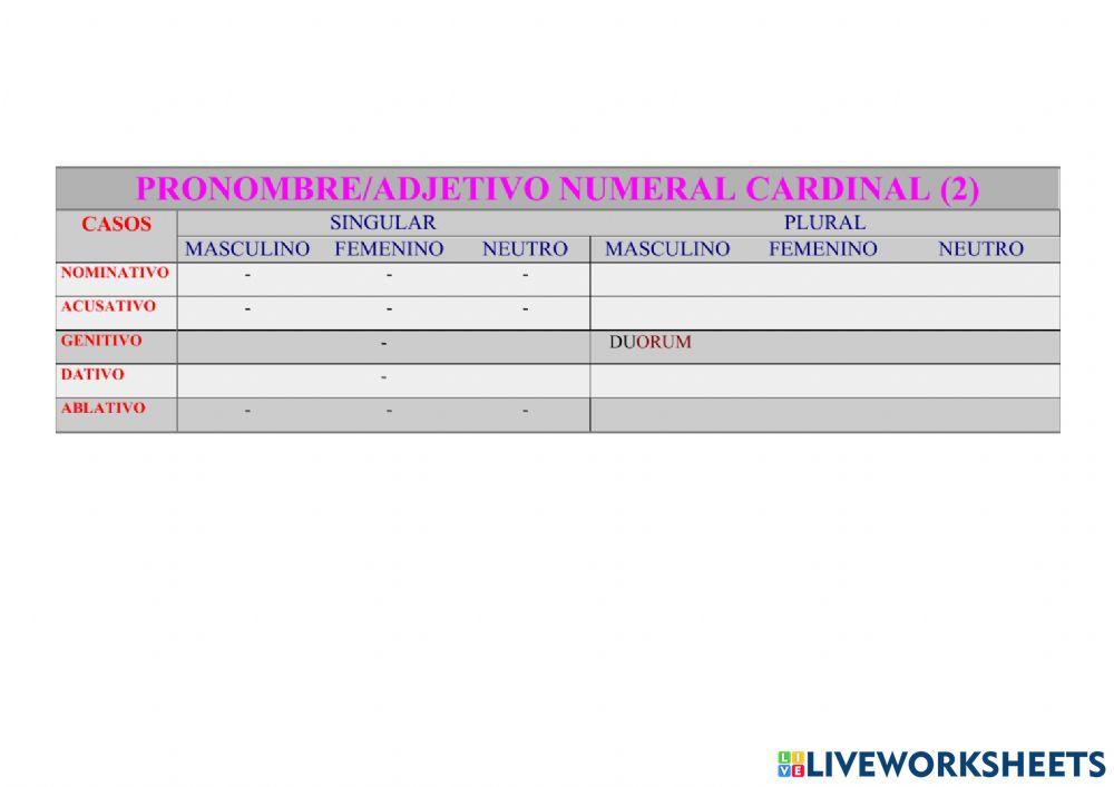 Numeral DUO, DUAE, DUO