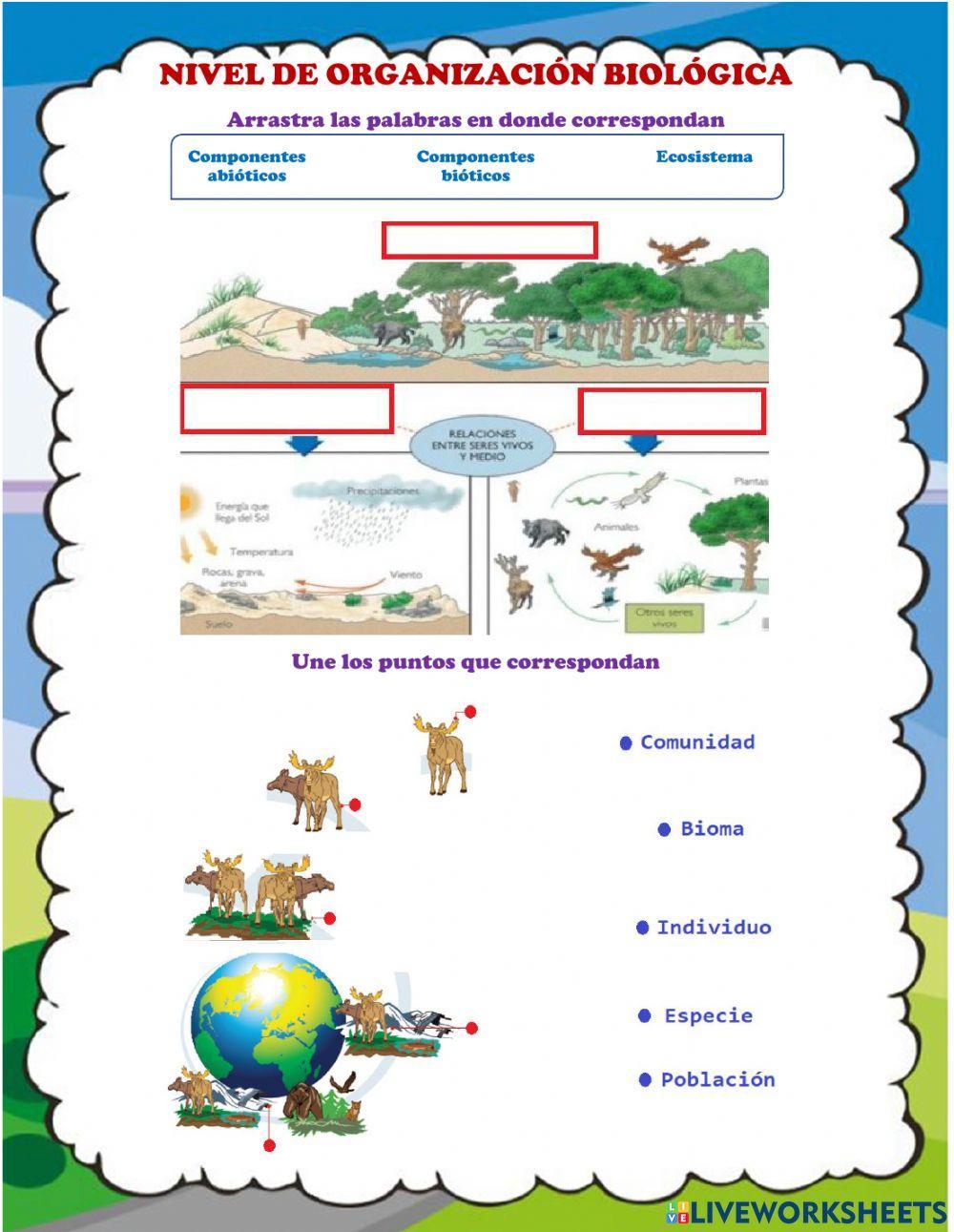 Niveles de organización biológica