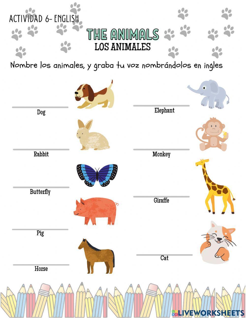 The animals The animals