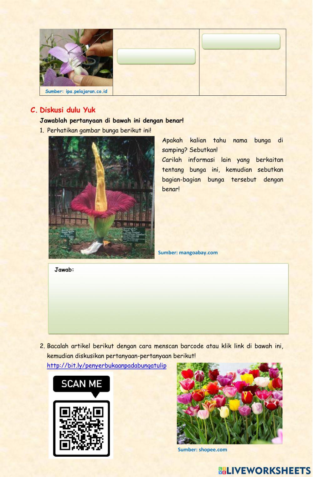 Penyerbukan Pada Bunga