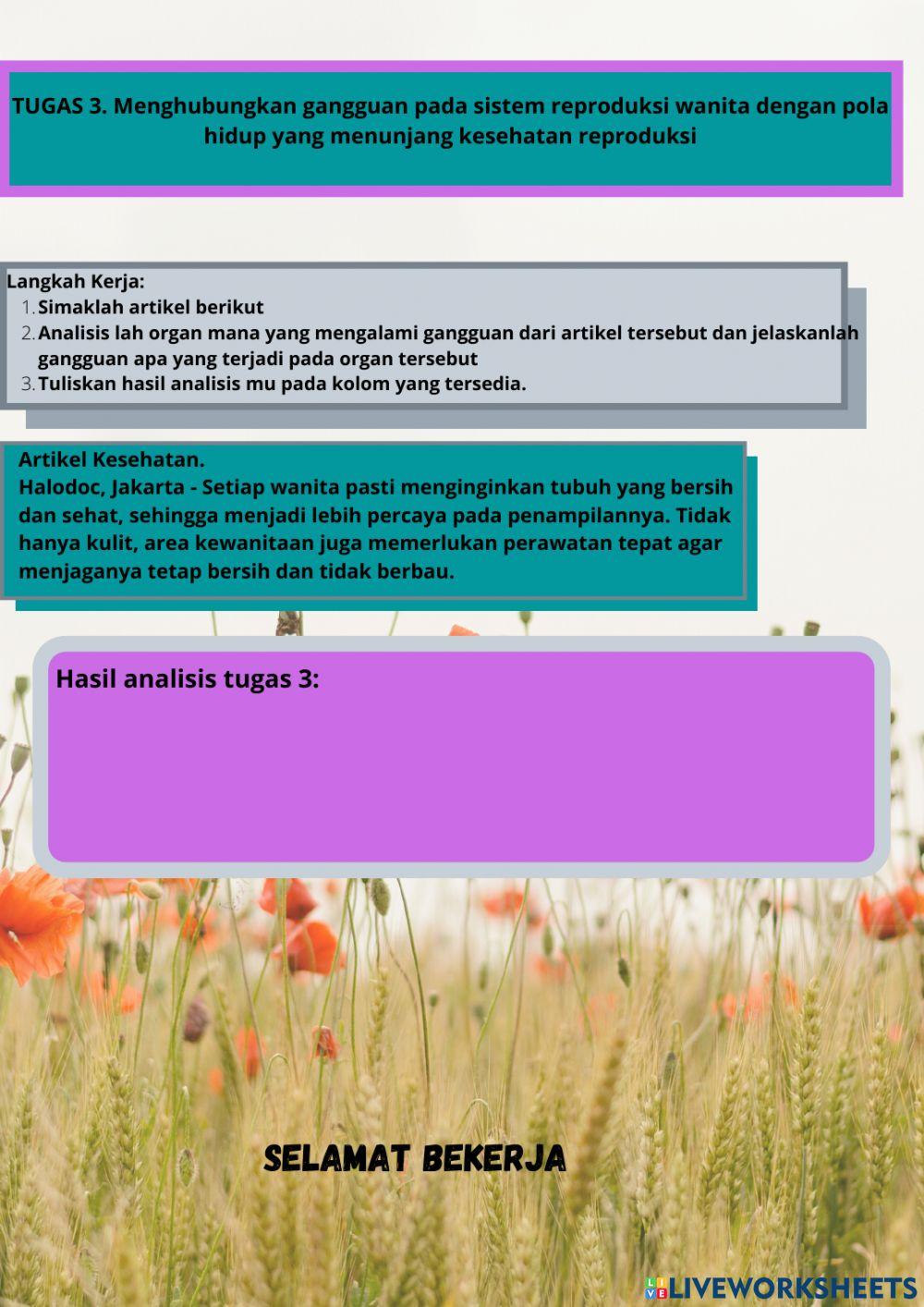 Lkpd organ reproduksi wanita