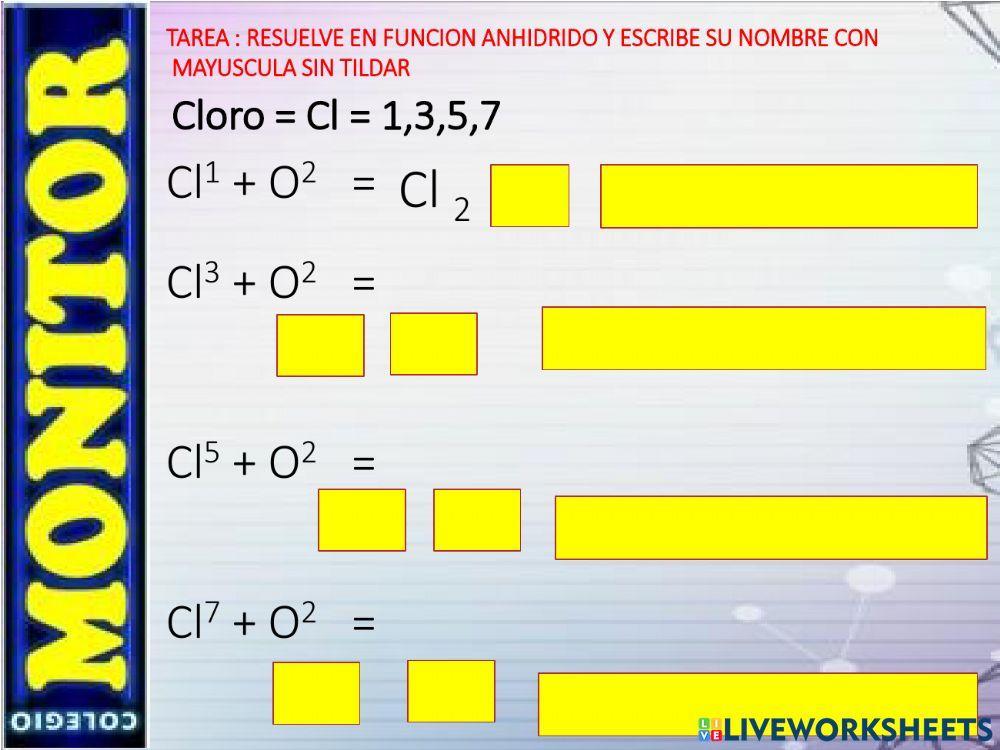 Mundo kids  miss lidia