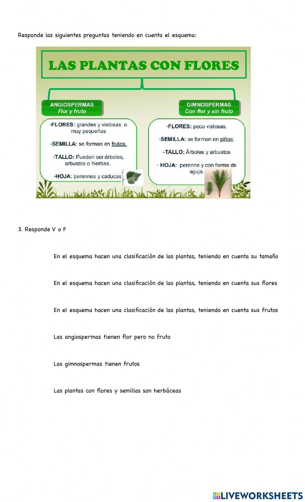 Las plantas y su reproducción