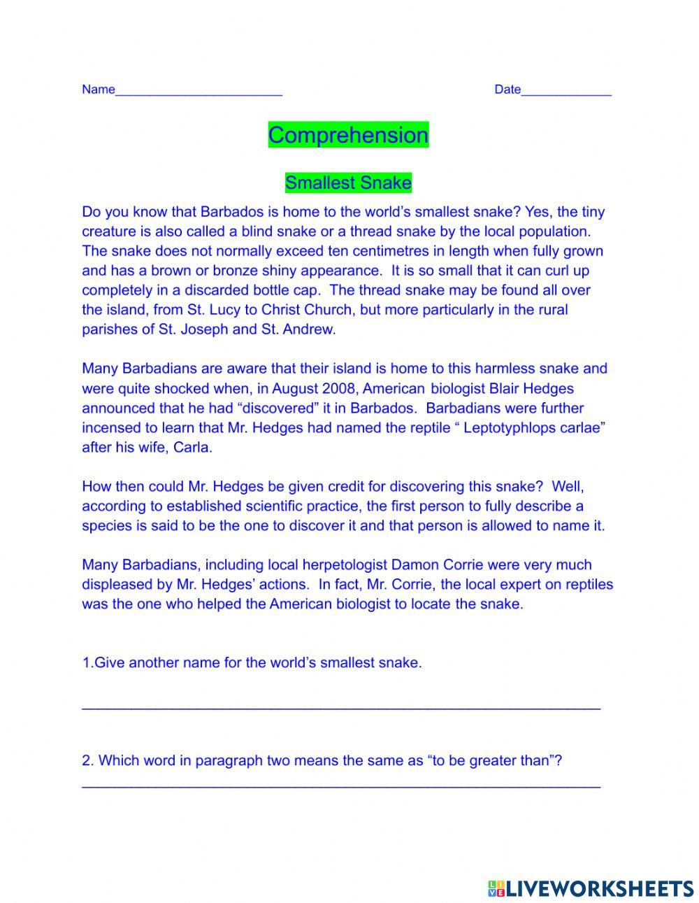 Comprehension 3 - Smallest Snake