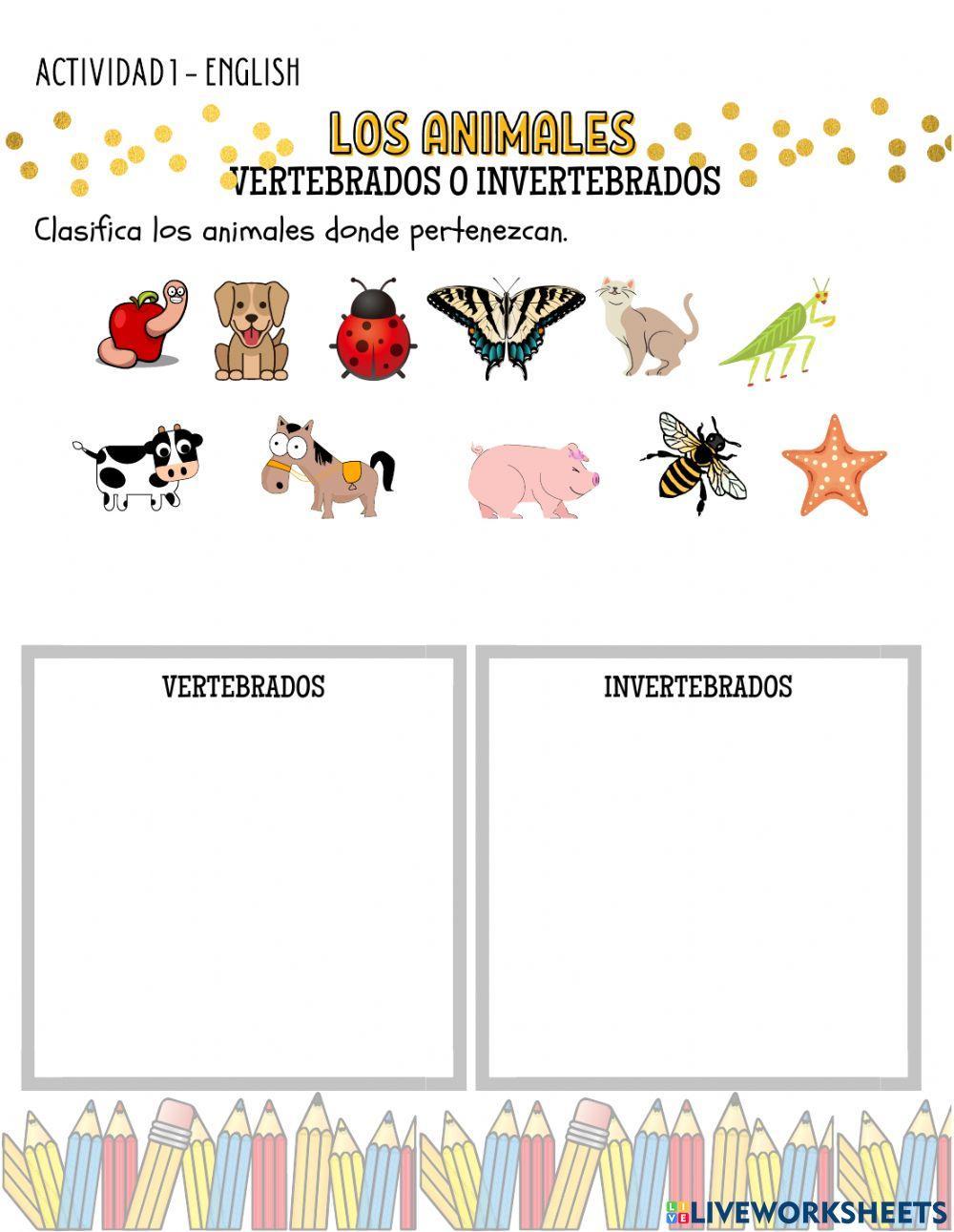 Animales vertebrados e invertebrados