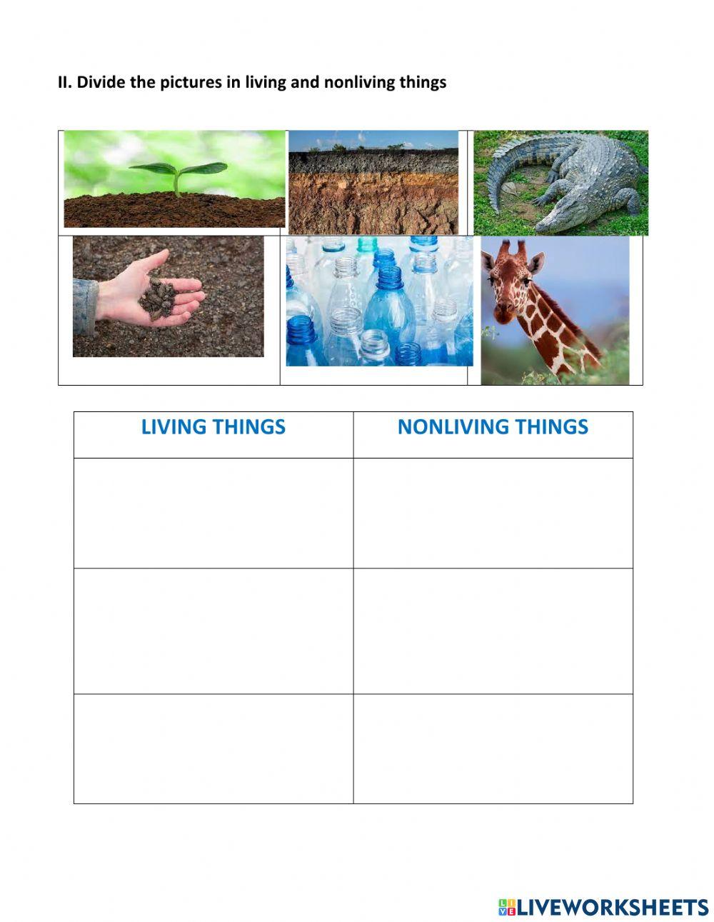 Science Quarterly exam 3